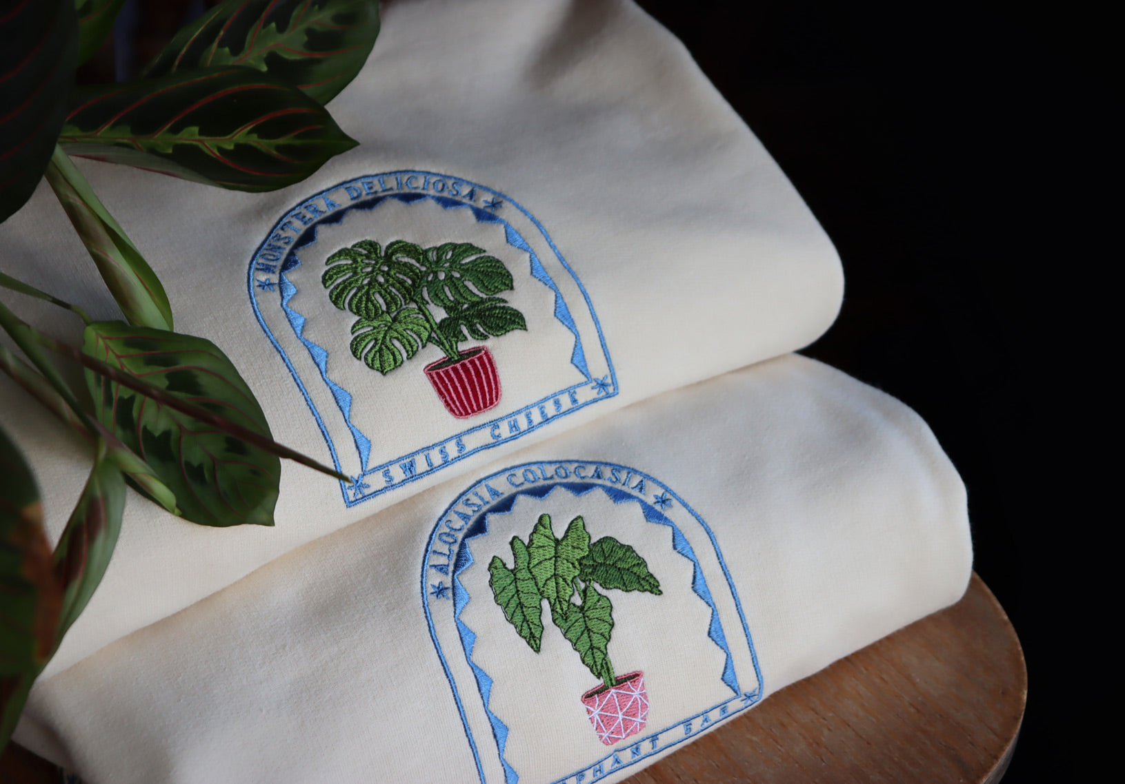 Elephant Ear Sweatshirt